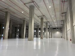 Toh Guan Road East (D22), Warehouse #637331841